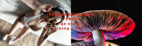 бошки Алзамай