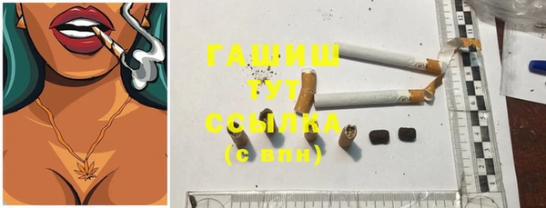 прущие грибы Абаза