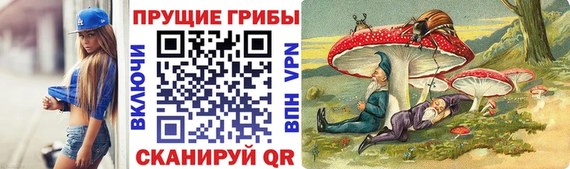 где продают   Куровское  Галлюциногенные грибы Psilocybine cubensis 